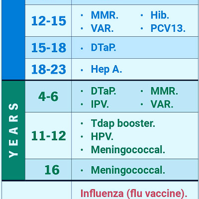 Childhood Immunization Schedule: Vaccines By Age